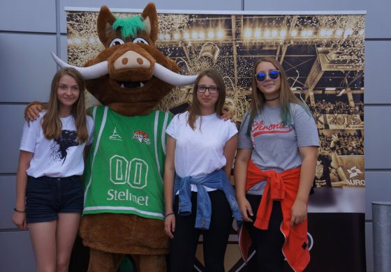 Stelmet Zielona Góra znowu zaskakuje swoich kibiców, czyli urodziny Dzika Wsadzika!